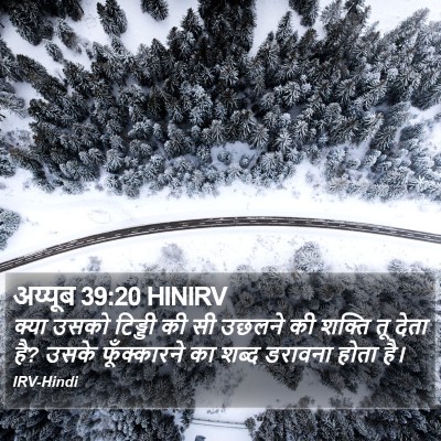 अय्यूब 39:20 HINIRV Bible Verse Image