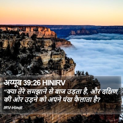 अय्यूब 39:26 HINIRV Bible Verse Image
