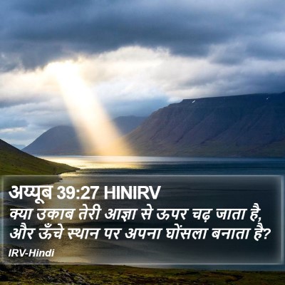 अय्यूब 39:27 HINIRV Bible Verse Image