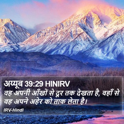 अय्यूब 39:29 HINIRV Bible Verse Image