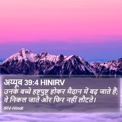 अय्यूब 39:4 HINIRV Bible Verse Image