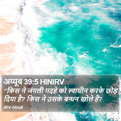 अय्यूब 39:5 HINIRV Bible Verse Image