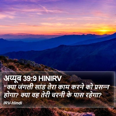 अय्यूब 39:9 HINIRV Bible Verse Image