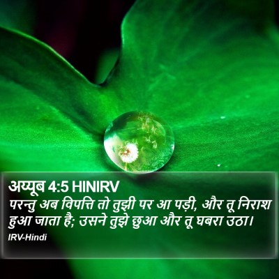 अय्यूब 4:5 HINIRV Bible Verse Image