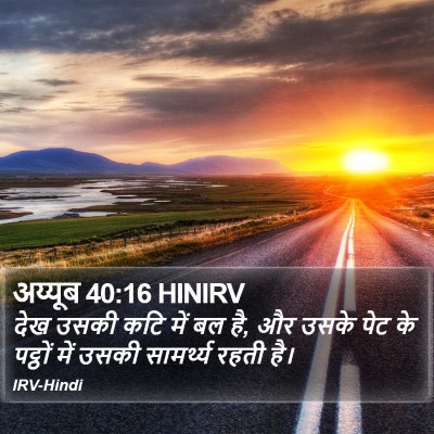 अय्यूब 40:16 HINIRV Bible Verse Image