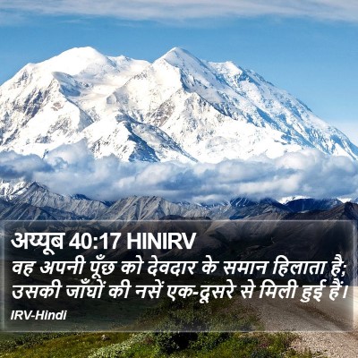 अय्यूब 40:17 HINIRV Bible Verse Image