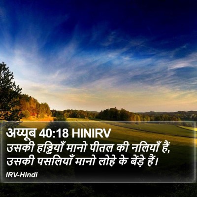 अय्यूब 40:18 HINIRV Bible Verse Image