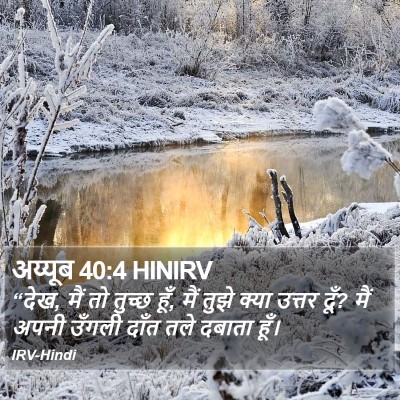 अय्यूब 40:4 HINIRV Bible Verse Image