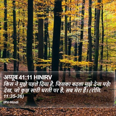 अय्यूब 41:11 HINIRV Bible Verse Image