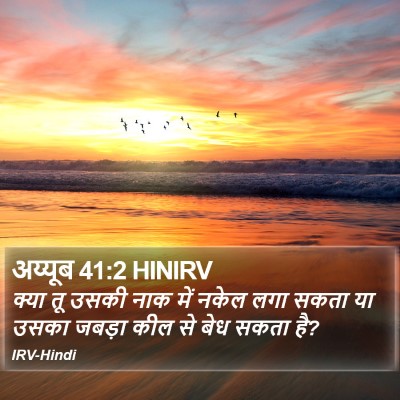 अय्यूब 41:2 HINIRV Bible Verse Image