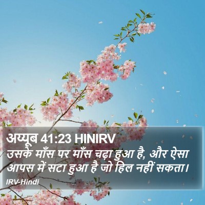 अय्यूब 41:23 HINIRV Bible Verse Image