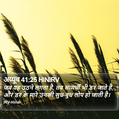 अय्यूब 41:25 HINIRV Bible Verse Image