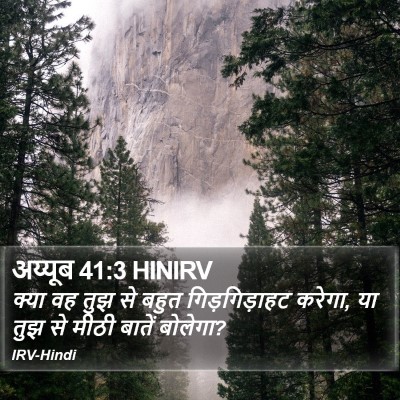 अय्यूब 41:3 HINIRV Bible Verse Image