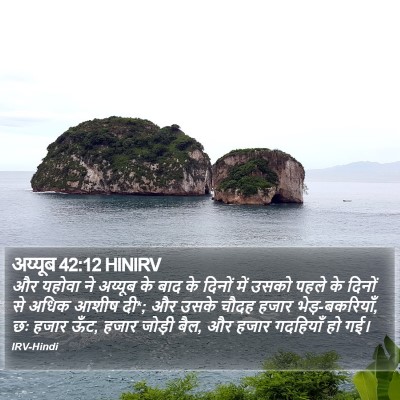 अय्यूब 42:12 HINIRV Bible Verse Image
