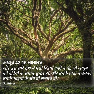 अय्यूब 42:15 HINIRV Bible Verse Image