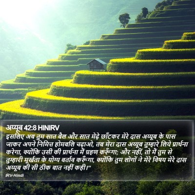 अय्यूब 42:8 HINIRV Bible Verse Image