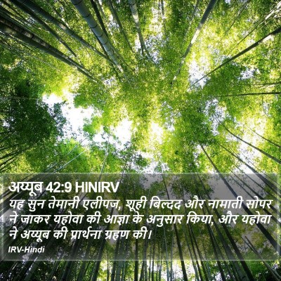 अय्यूब 42:9 HINIRV Bible Verse Image