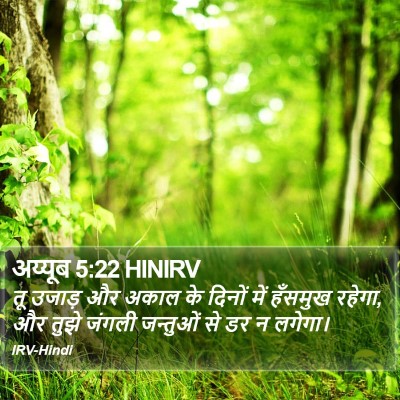 अय्यूब 5:22 HINIRV Bible Verse Image