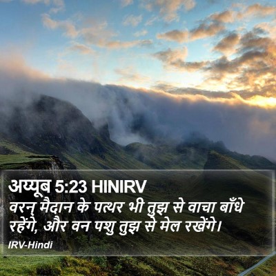 अय्यूब 5:23 HINIRV Bible Verse Image