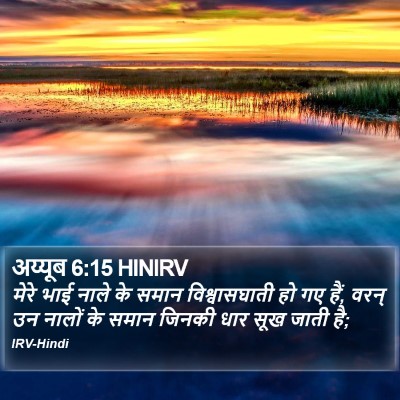 अय्यूब 6:15 HINIRV Bible Verse Image