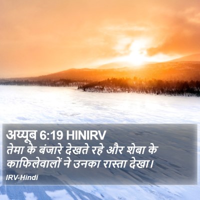 अय्यूब 6:19 HINIRV Bible Verse Image