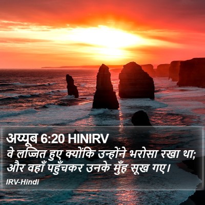 अय्यूब 6:20 HINIRV Bible Verse Image