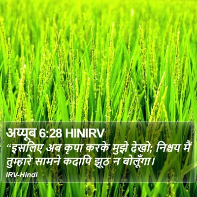 अय्यूब 6:28 HINIRV Bible Verse Image
