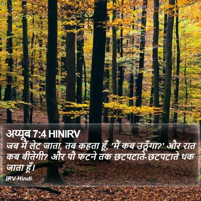 अय्यूब 7:4 HINIRV Bible Verse Image