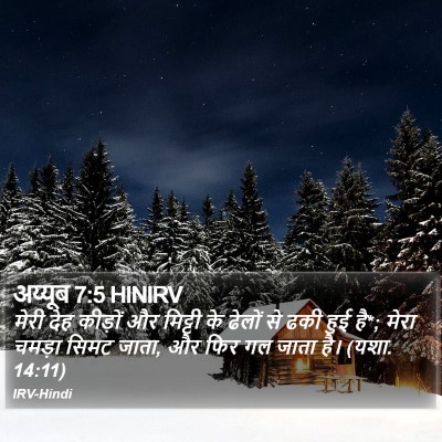 अय्यूब 7:5 HINIRV Bible Verse Image