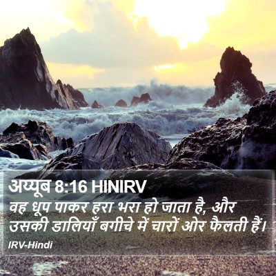 अय्यूब 8:16 HINIRV Bible Verse Image