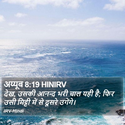 अय्यूब 8:19 HINIRV Bible Verse Image