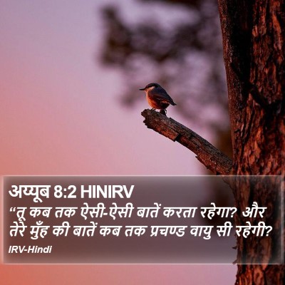 अय्यूब 8:2 HINIRV Bible Verse Image