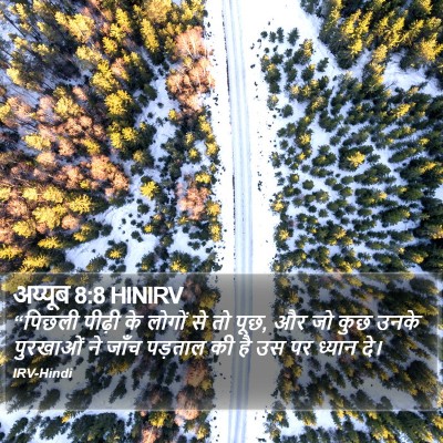 अय्यूब 8:8 HINIRV Bible Verse Image