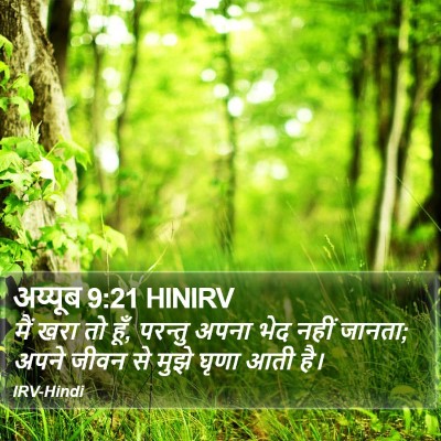 अय्यूब 9:21 HINIRV Bible Verse Image