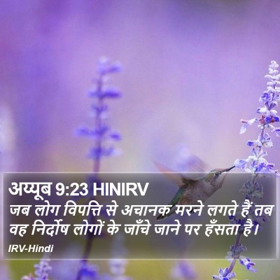 अय्यूब 9:23 HINIRV Bible Verse Image