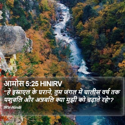 आमोस 5:25 HINIRV Bible Verse Image
