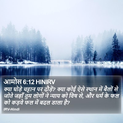 आमोस 6:12 HINIRV Bible Verse Image