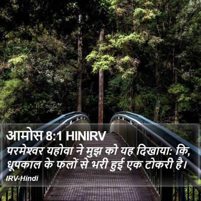 आमोस 8:1 HINIRV Bible Verse Image