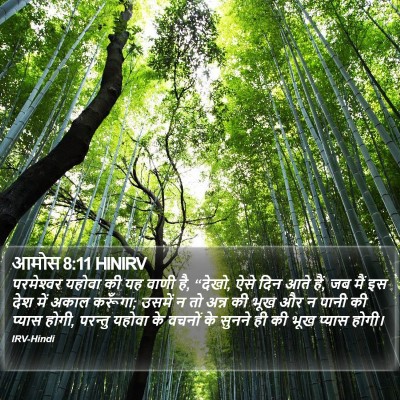 आमोस 8:11 HINIRV Bible Verse Image