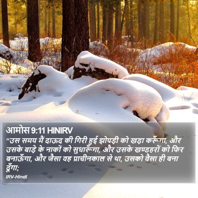 आमोस 9:11 HINIRV Bible Verse Image