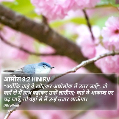 आमोस 9:2 HINIRV Bible Verse Image
