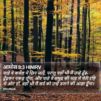 आमोस 9:3 HINIRV Bible Verse Image