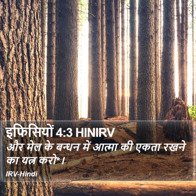 इफिसियों 4:3 HINIRV Bible Verse Image