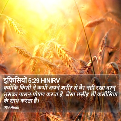 इफिसियों 5:29 HINIRV Bible Verse Image