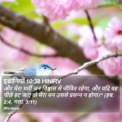 इब्रानियों 10:38 HINIRV Bible Verse Image