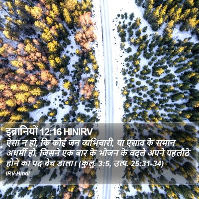 इब्रानियों 12:16 HINIRV Bible Verse Image