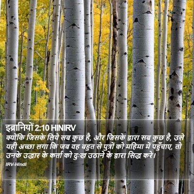 इब्रानियों 2:10 HINIRV Bible Verse Image