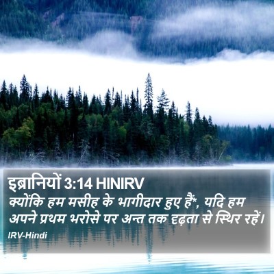 इब्रानियों 3:14 HINIRV Bible Verse Image