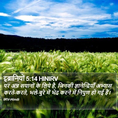 इब्रानियों 5:14 HINIRV Bible Verse Image