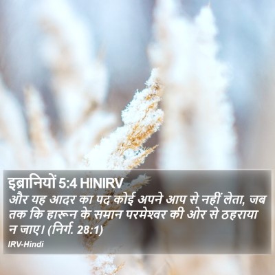 इब्रानियों 5:4 HINIRV Bible Verse Image